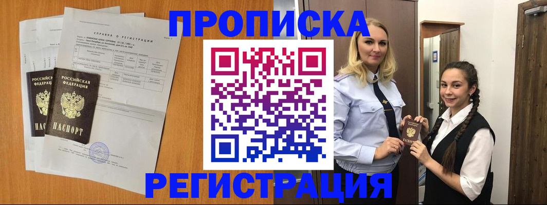 прописка в квартире в Сольцах